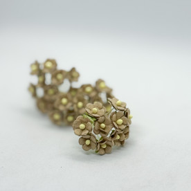 Набор свитхартов, нежно-коричневый, 10 шт, 15 мм