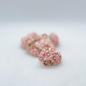 Набір Світхарт, біло-рожевий, 10 шт, 15 мм