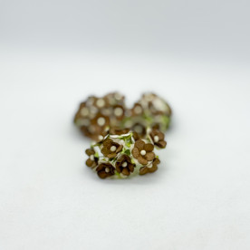 Набір з 10 декоративних квіток Sweetheart коричневого кольору, 15 мм