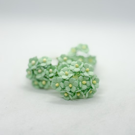 Набір Світхарт, м'ятно-блакитний, 10 шт, 15 мм