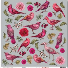 Односторонній папір Пташиний Щебет 30х30 см від ScrapBerry's