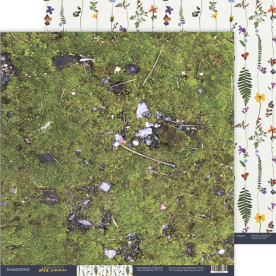 Лист двостороннього паперу, 03, Herbarium Wild summer, 30x30 см, Scrapmir