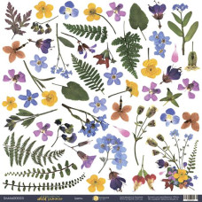 Лист одностороннього паперу, Декор, Herbarium Wild summer, 30x30 см, Scrapmir