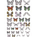 Набір прозорих крилець Idea-Ology Transparent Acetate Wings, 72 шт, Tim Holtz