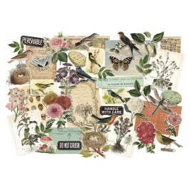 Набір вирубування Idea-Ology Ephemera Pack, Organic Layers, 45 шт, Tim Holtz