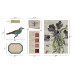 Набір вирубування, Idea-Ology Transparent Things 2, 33 шт, Tim Holtz
