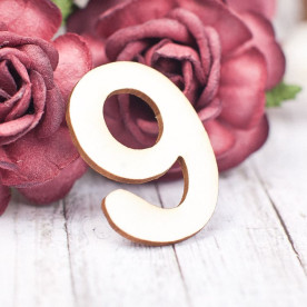 Чіпборд, Цифра 9, 21 * 30 мм, Valeo