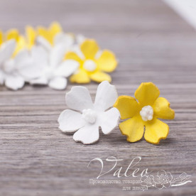 Декоративні Польові квіти з фоамірана 20 * 20 мм, 12 шт, мікс кольорів, Valeo