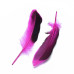 Набор окрашенных перьев, 5 шт, пурпурный, от 115 до 160 мм, от 20 до 35 мм