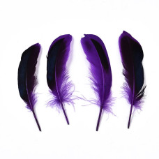 Набор окрашенных перьев, 5 шт, сине-фиолетовый, 115x20 мм