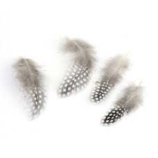 Набор окрашенных перьев, 10 шт, светло-серый, от 65 до 135 мм, от 25 до 45 мм