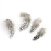 Набор окрашенных перьев, 10 шт, светло-серый, от 65 до 135 мм, от 25 до 45 мм