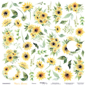 Лист Двусторонней бумаги 30x30 Цветочки из коллекции Mice's Stories, Scrapmir