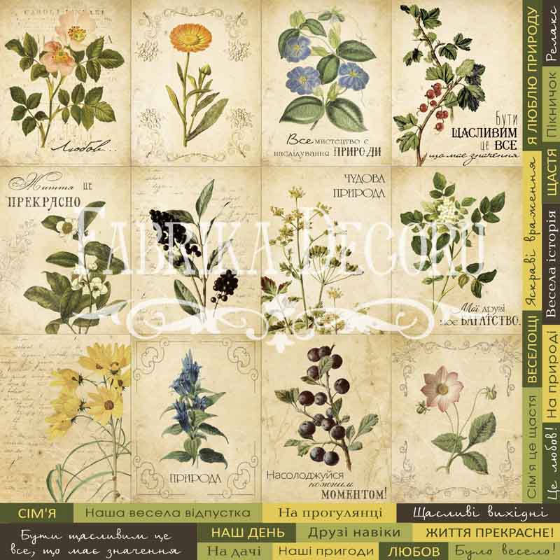 Набор карточек №3 "Botany summer" (ukr) от Фабрика Декора