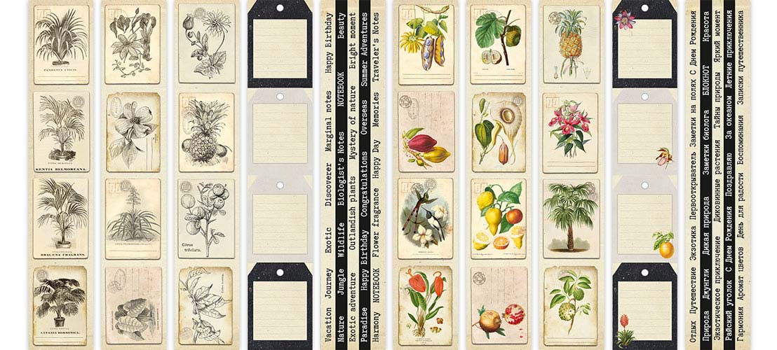 Набір смуг з картинками для декорування, Botany exotic, 5 шт, 5х30,5 см, Фабрика Декору