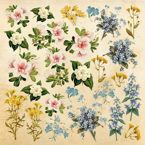 Набір картинок для вирізання Botany Summer 20х20см, Фабрика Декору