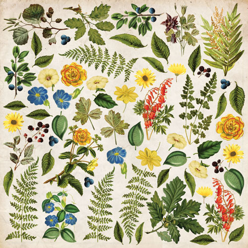 Набір картинок для вирізання Summer Botanical Story 20х20 см Фабрика Декору