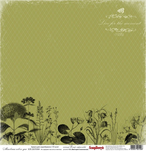 Односторонній папір Вітер Мандрів: Миттєвості нового дня - від ScrapBerry's