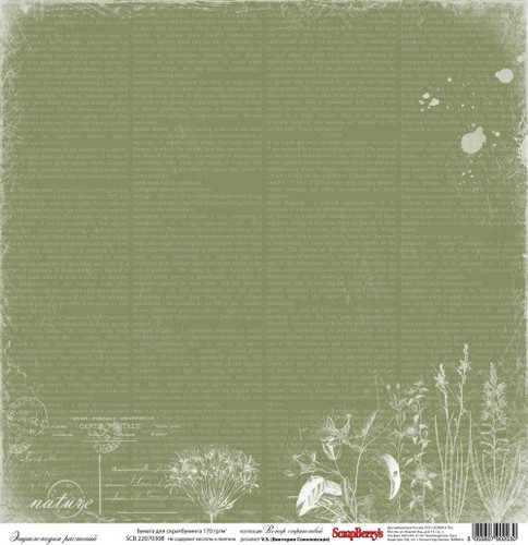 Односторонній папір Вітер Мандрів: Енциклопедія рослин - від ScrapBerry's