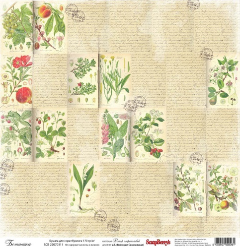 Односторонній папір Вітер Мандрів: Ботаніка- від ScrapBerry's