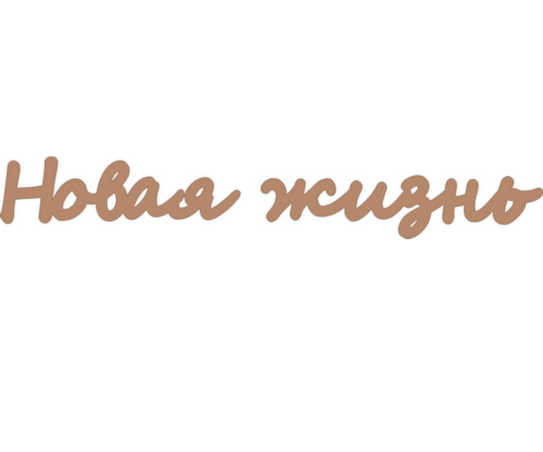 Чипборд "Новая жизнь" 175 мм