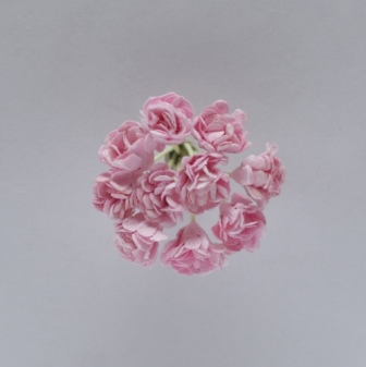 Набор из 10 декоративных цветков хризантемы нежно-розового цвета 10 мм