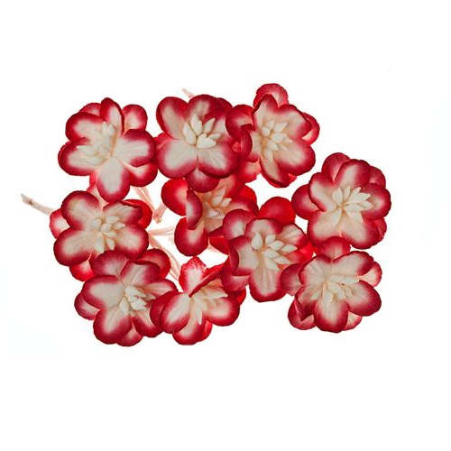 Набор  декоративных цветков вишни красно-белого цвета  10 шт