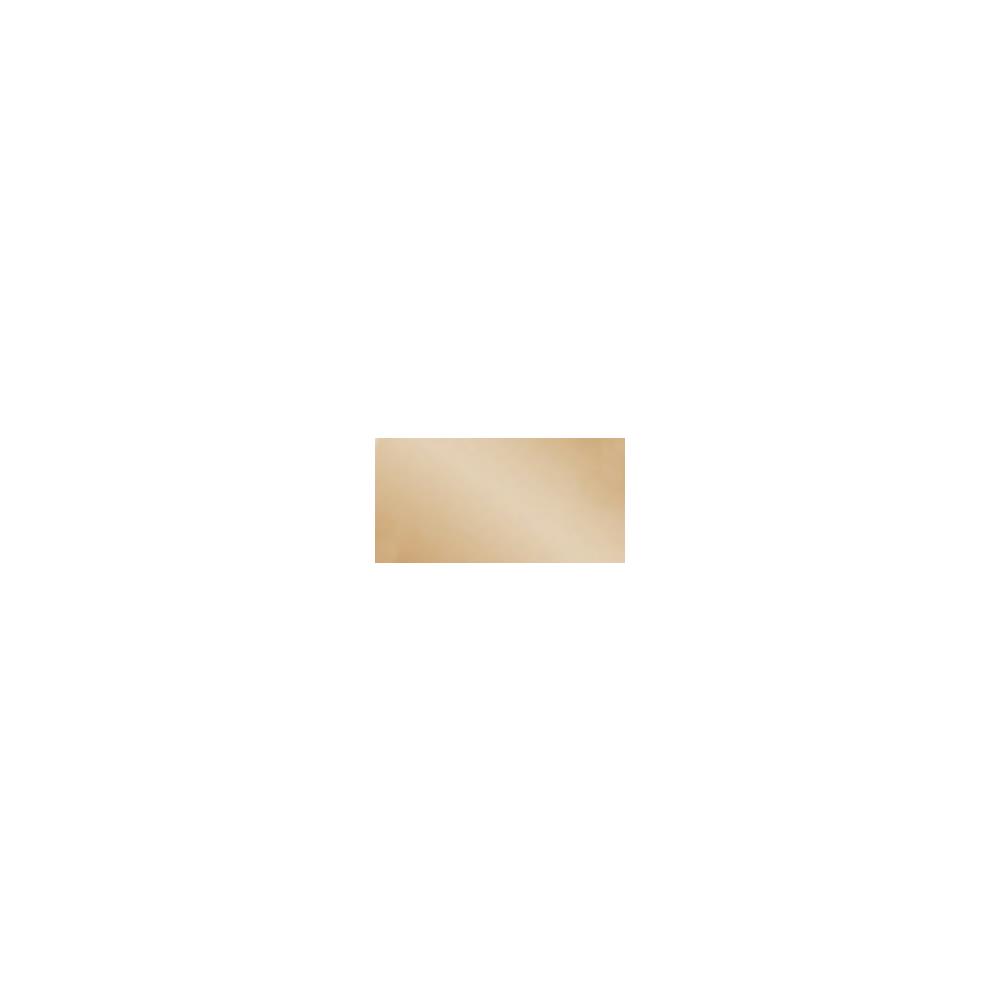 Патина Aged Bronze 18 мл. від Ranger