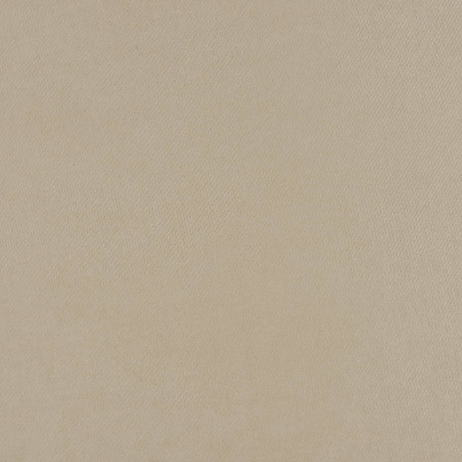Декоративный нубук Арвин 2, канвас, полиэстер 100%, светлый беж, 205 г/м2, 50x30 см
