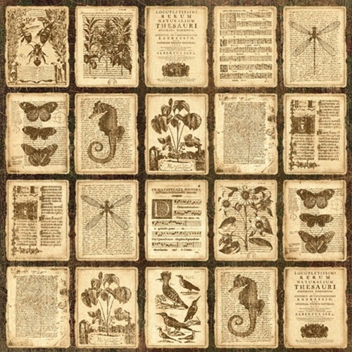 Двусторонняя бумага для скрапбукинга Antiquity 30х30 см от Graphic 45
