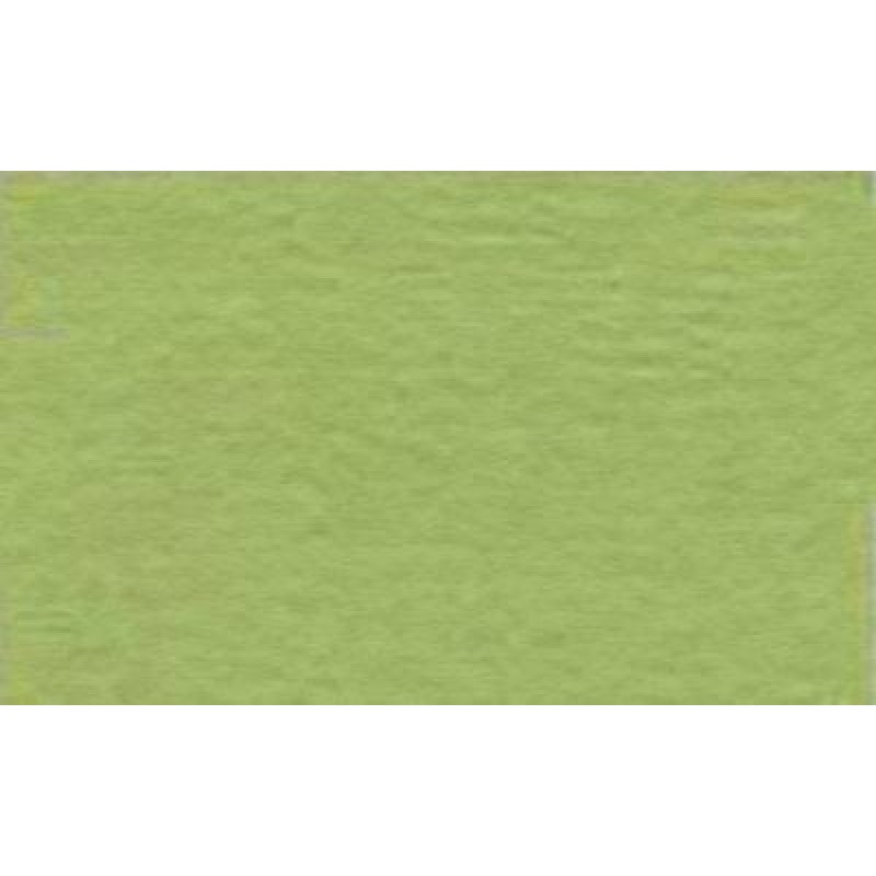Бумага для пастели Tiziano A4 (21 * 29,7см), №11 verduzzo, 160г / м2, салатовый, среднее зерно, Fabriano