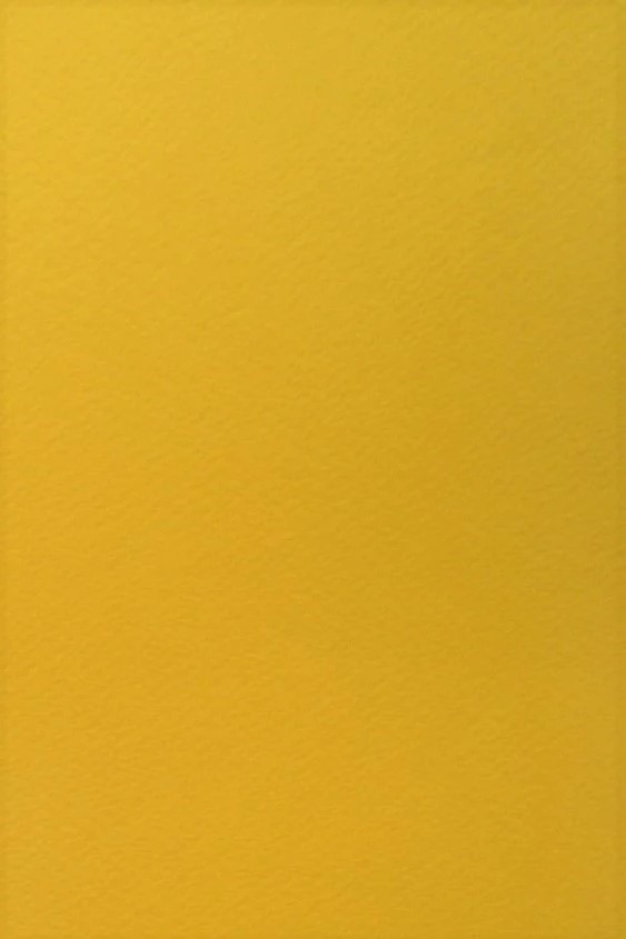 Бумага для пастели Tiziano A4 (21 * 29,7см), №44 oro, 160г / м2, желтый, среднее зерно, Fabriano