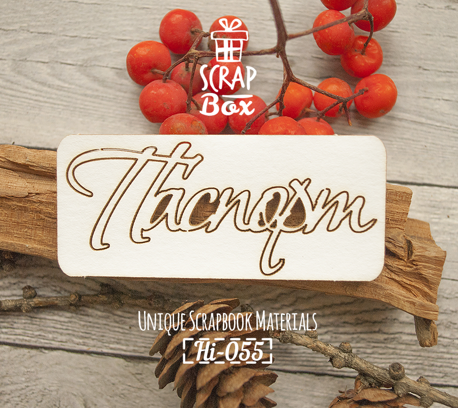 Чіпборд напис "Паспорт" №4, розмір 75 * 35 мм від Scrapbox