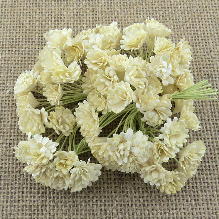 Набір декоративної гіпсофіли, 10 шт., DEEP IVORY