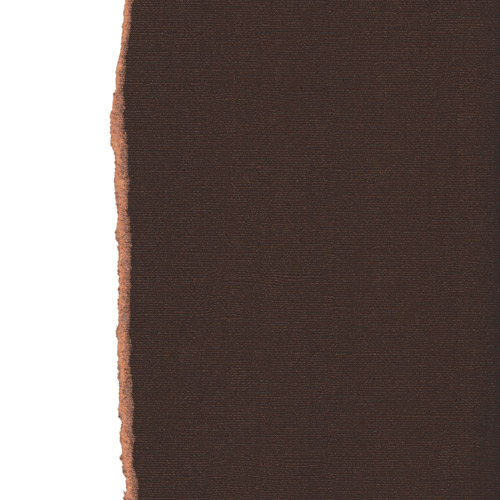 Текстурний кардсток кориця 30,5х30,5 см 216 г / м2 від Scrapberry's