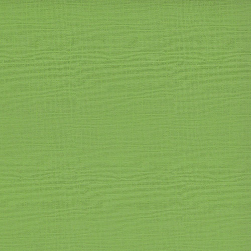 Текстурный кардсток зеленый папоротник 30,5х30,5 см 216 г/м2 от Scrapberry's
