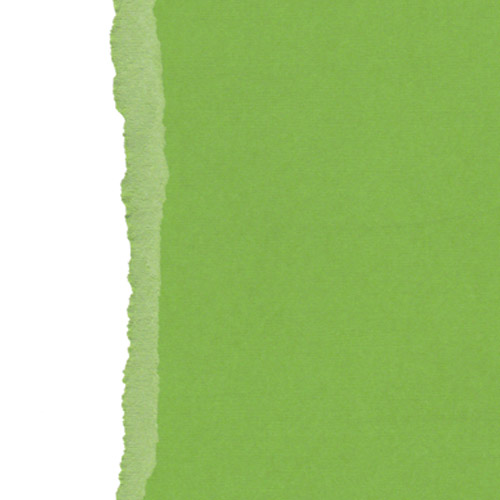 Текстурний кардсток зелений папороть 30,5х30,5 см 216 г / м2 від Scrapberry's