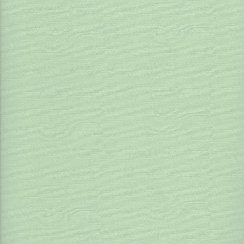 Текстурний кардсток пастельно-зелений 30,5х30,5 см 216 г / м2 від Scrapberry's