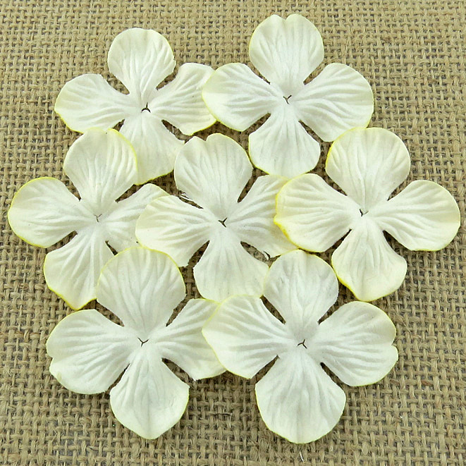 Набор гортензий DEEP IVORY 35 мм, 10 шт.