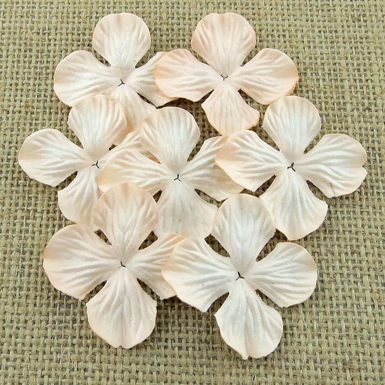 Набір гортензій PALE PEACH 50 мм, 10 шт.