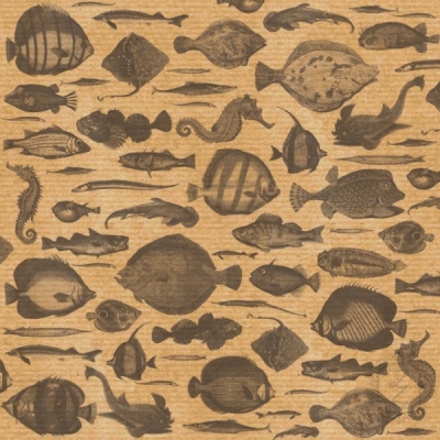 Аркуш паперу KRAFTERIA "Ocean World ", 30 * 30 см, 120 г / м2 від Lesia Zgharda