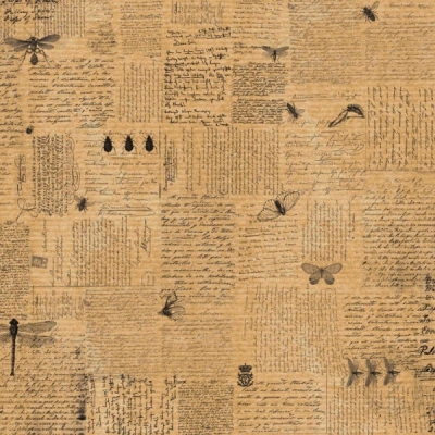 Аркуш паперу  KRAFTERIA "Lettering and Beetles", 30 * 30 см, 120 г / м2 від Lesia Zgharda