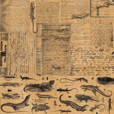 Аркуш паперу KRAFTERIA "Lizards", 30 * 30 см, 120 г / м2 від Lesia Zgharda