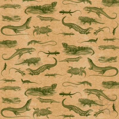 Аркуш паперу KRAFTERIA "Green Lizards", 30 * 30 см, 120 г / м2 від Lesia Zgharda