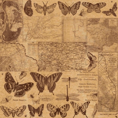 Аркуш паперу KRAFTERIA "Vintage butterflies", 30 * 30 см, 120 г / м2 від Lesia Zgharda