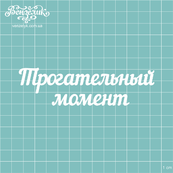 Чіпборд "Зворушливий Момент", розмір 117 * 32 мм від Вензелік