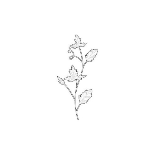 Ніж для вирізання Grape Vine від Memory Box