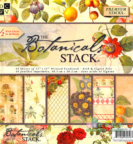 Набор скрапбумаги Botanical 24 листа 30x30 от DCWV