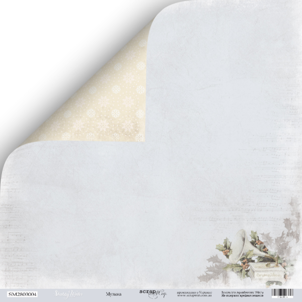 Лист двусторонней бумаги Музыка, 30*30 см от Scrapmir