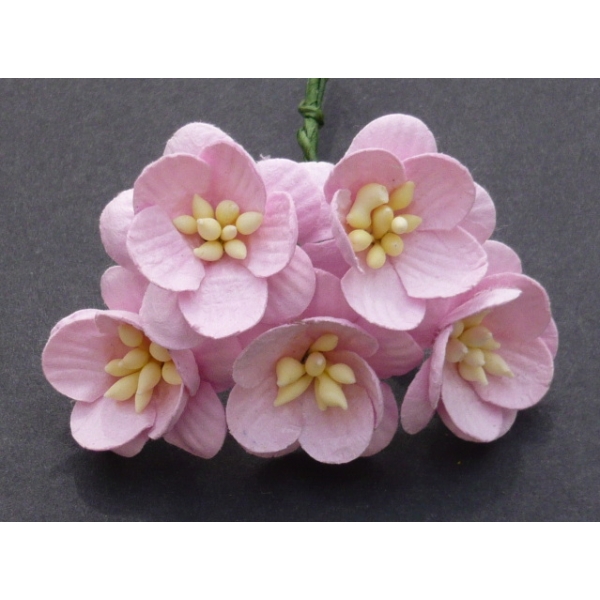 Цветы вишни, набор из 5 декоративных цветочков розового цвета